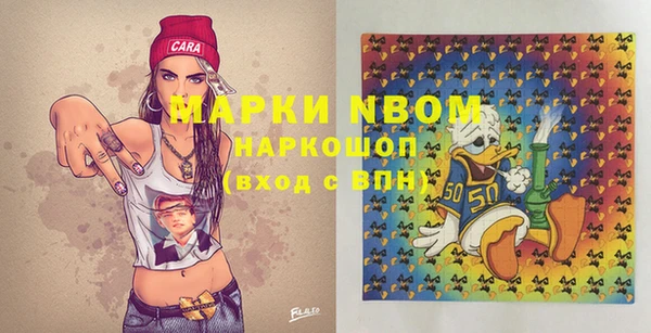 ПСИЛОЦИБИНОВЫЕ ГРИБЫ Арсеньев