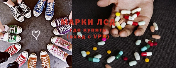 ПСИЛОЦИБИНОВЫЕ ГРИБЫ Арсеньев
