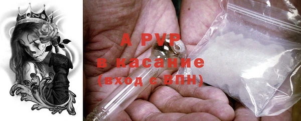 ПСИЛОЦИБИНОВЫЕ ГРИБЫ Арсеньев