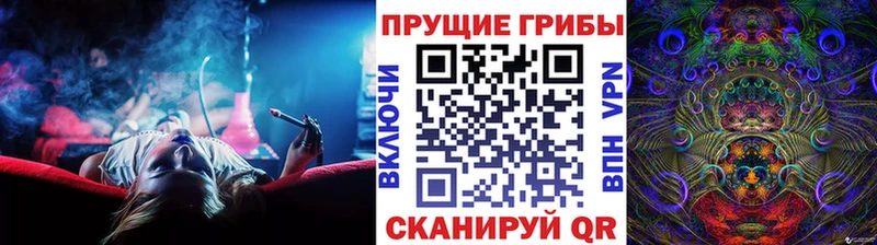 Псилоцибиновые грибы Cubensis  купить закладку  Кореновск 